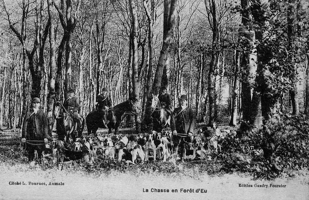 foret/foret010.jpg