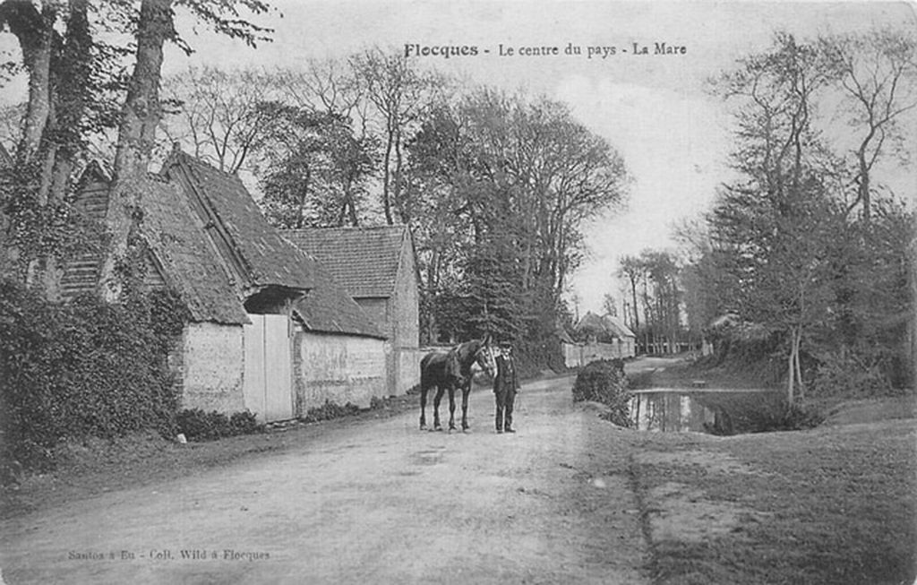 flocques/flocques001.jpg