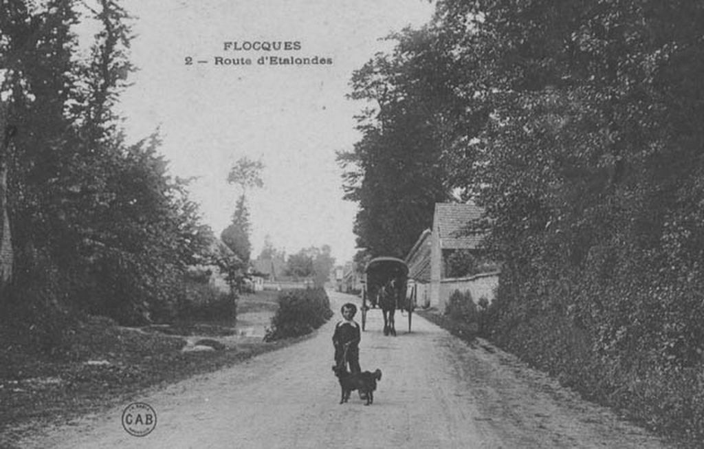 flocques/flocques003.jpg