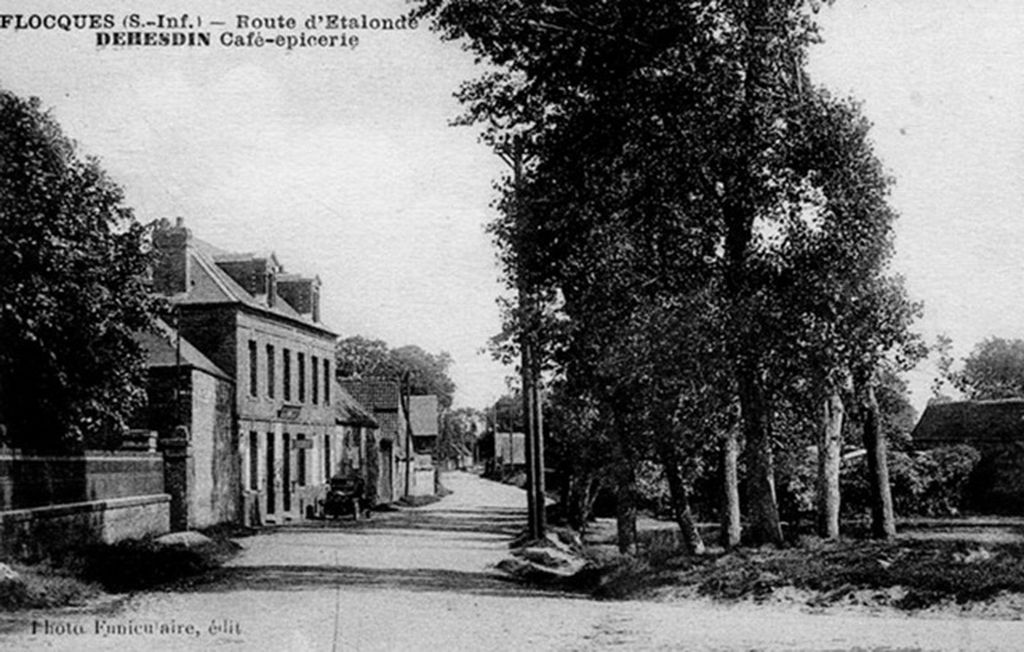 flocques/flocques004.jpg