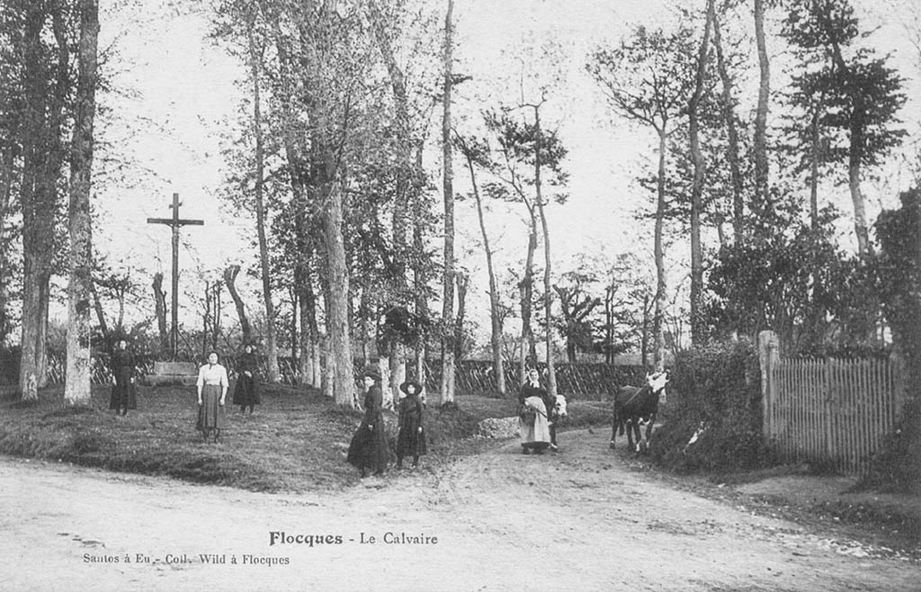 flocques/flocques006.jpg