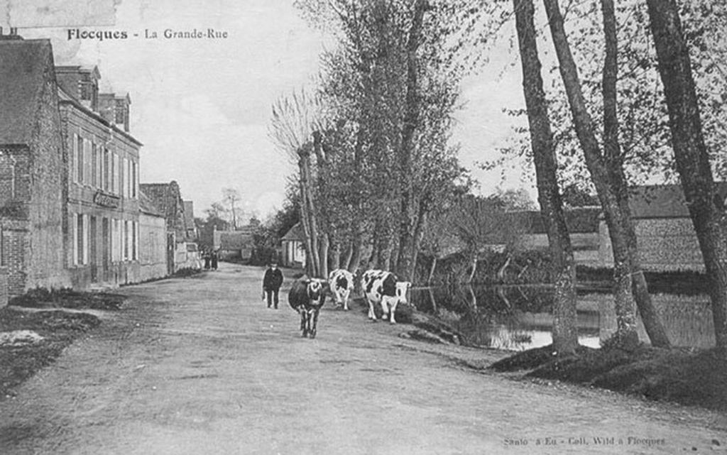 flocques/flocques010.jpg