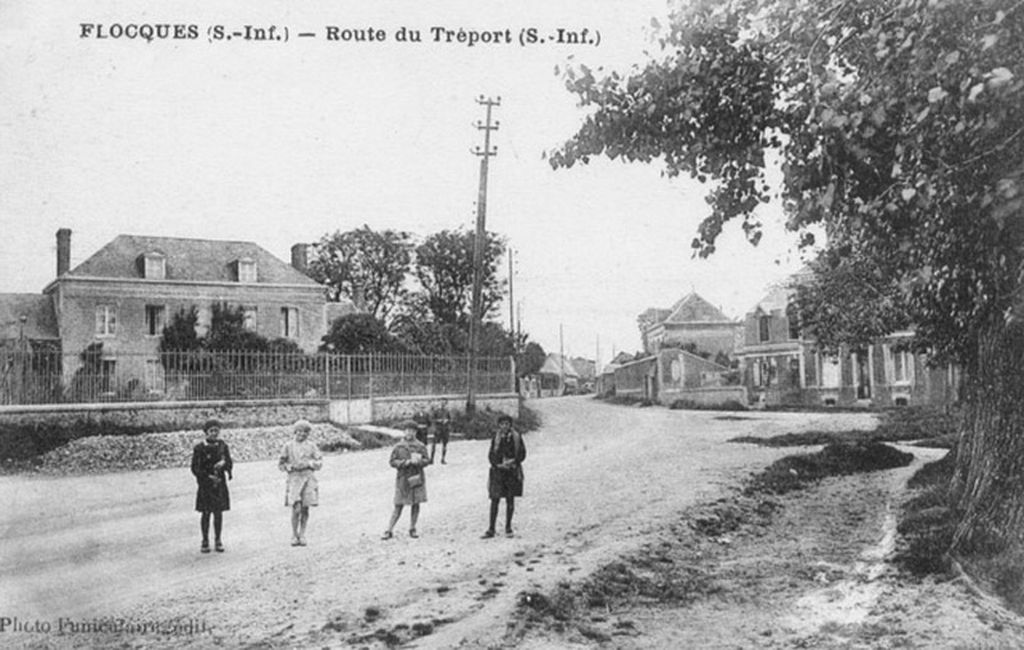 flocques/flocques014.jpg