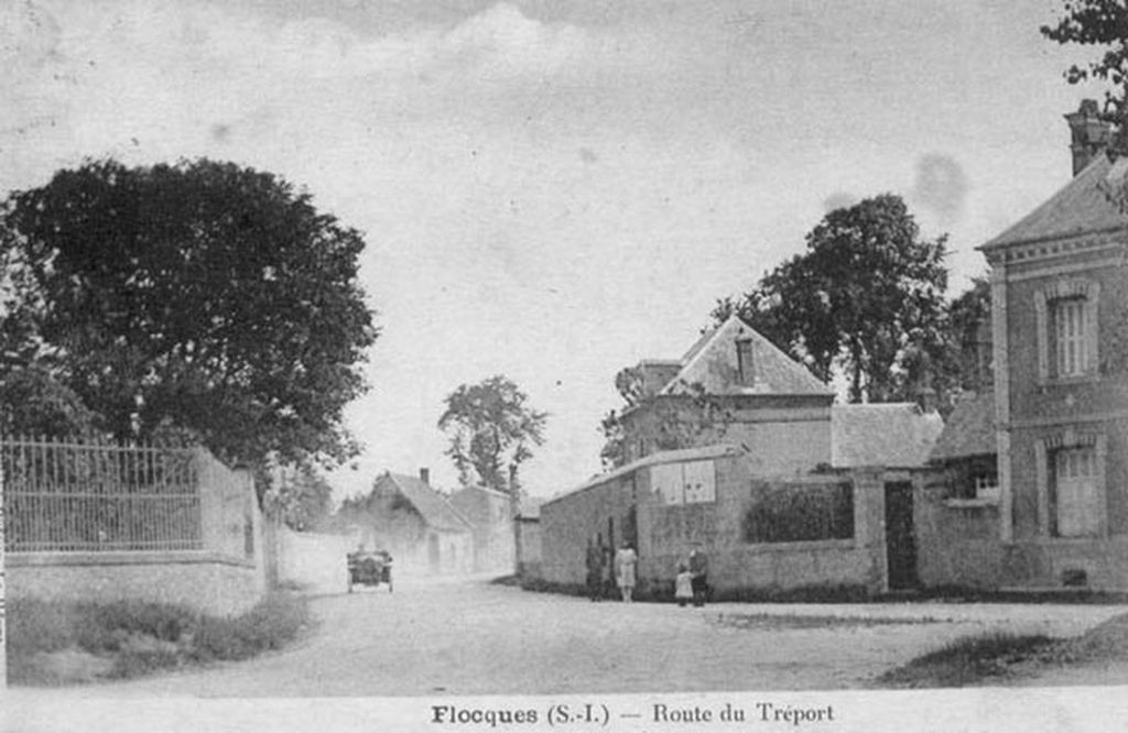 flocques/flocques015.jpg