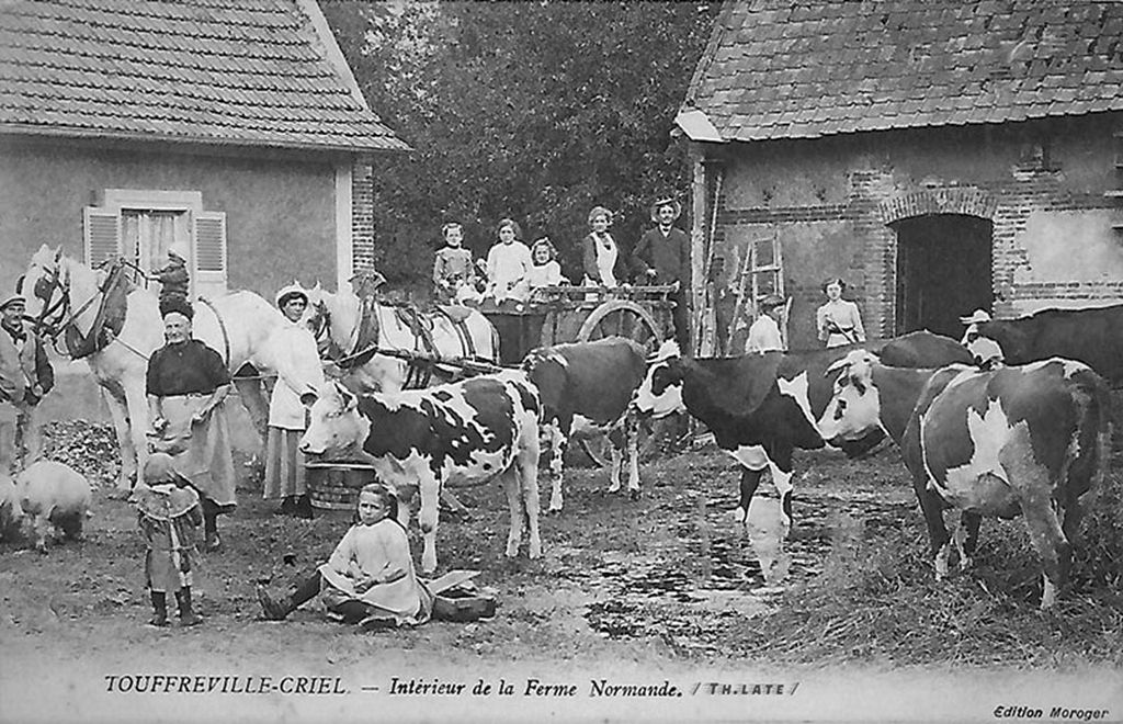 touffreville/touffreville017.jpg