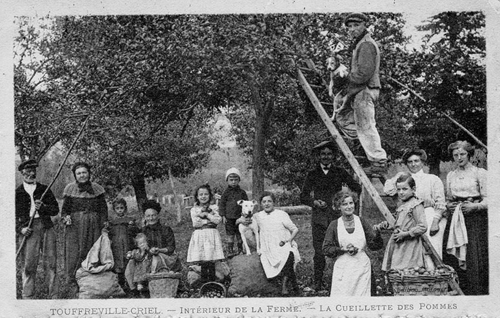 touffreville/touffreville018.jpg